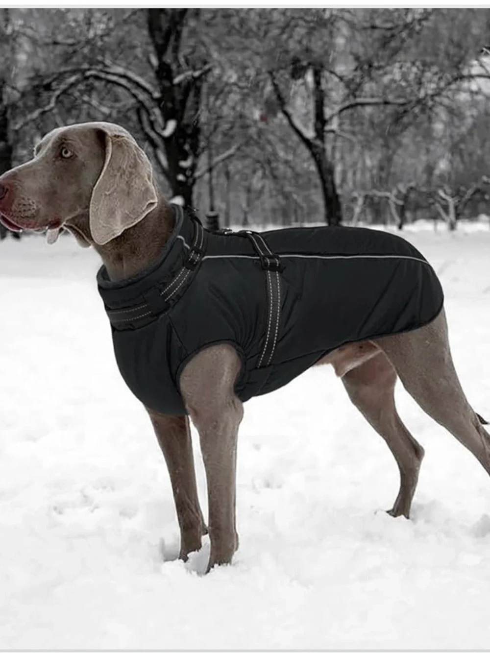 Lelepet Coat For Large Dogs Waterproof W/Harness Built In Reflective XL 917-12